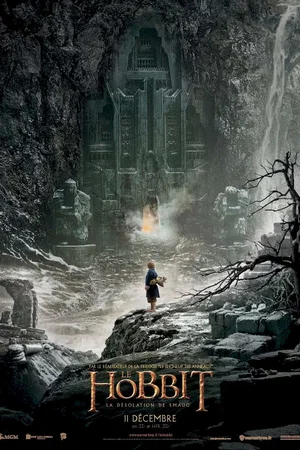 Photo du film : Le Hobbit : la Désolation de Smaug 