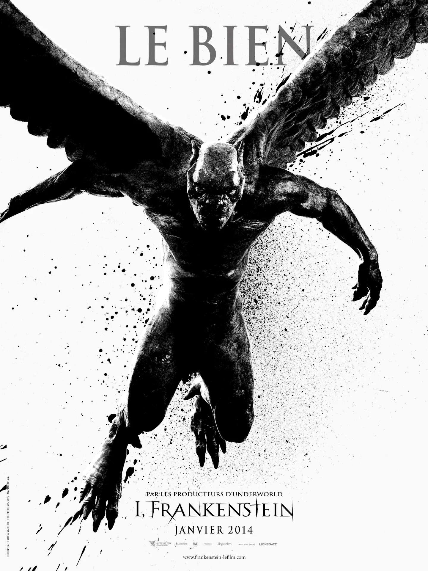Photo 3 du film : I, Frankenstein