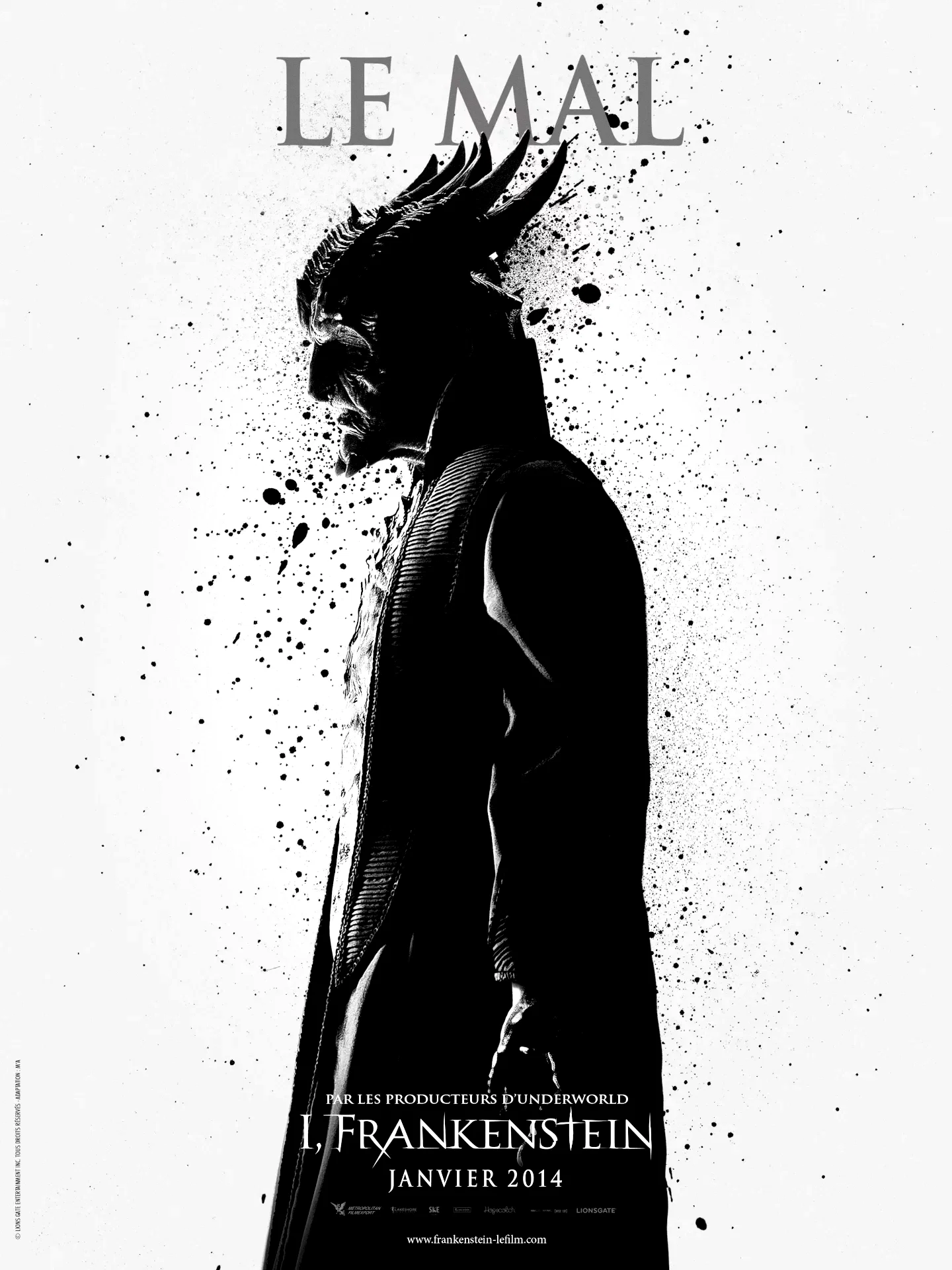 Photo 4 du film : I, Frankenstein