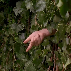 Photo du film : Le jardin secret