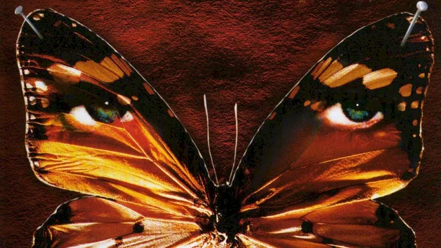 Photo du film : L'obsédé