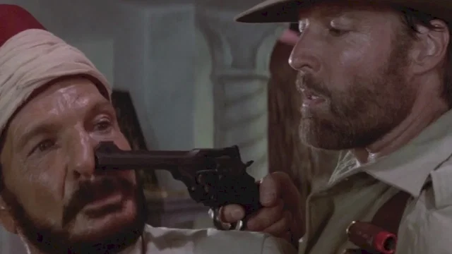 Photo du film : Allan quatermain et les mines du roi