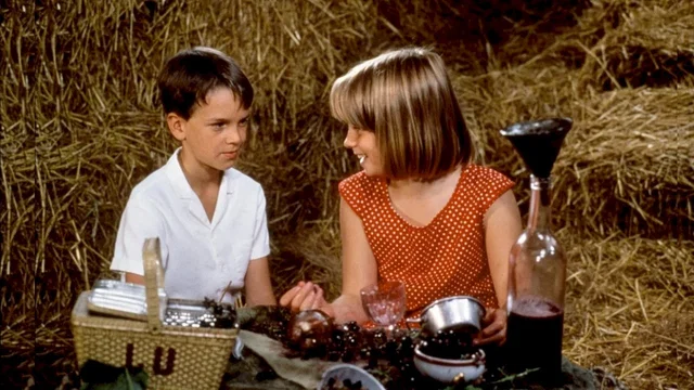 Photo 2 du film : Le grand chemin
