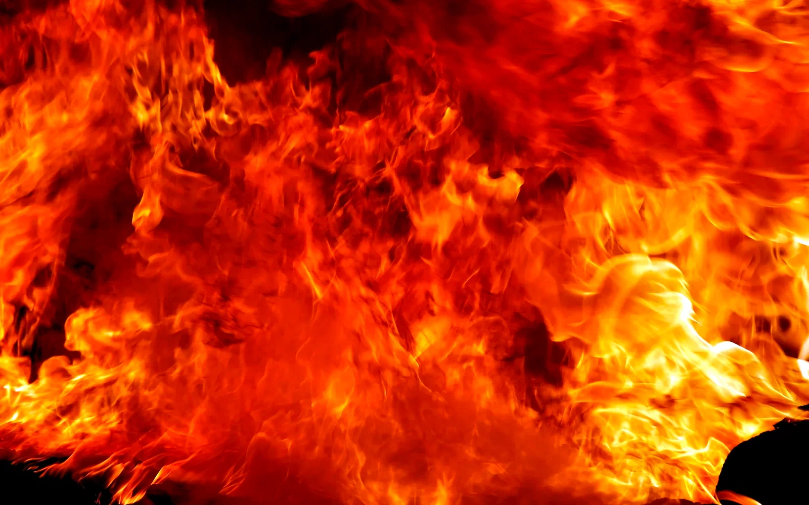 Photo 2 du film : Great balls of fire