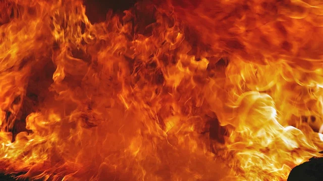 Photo 2 du film : Great balls of fire