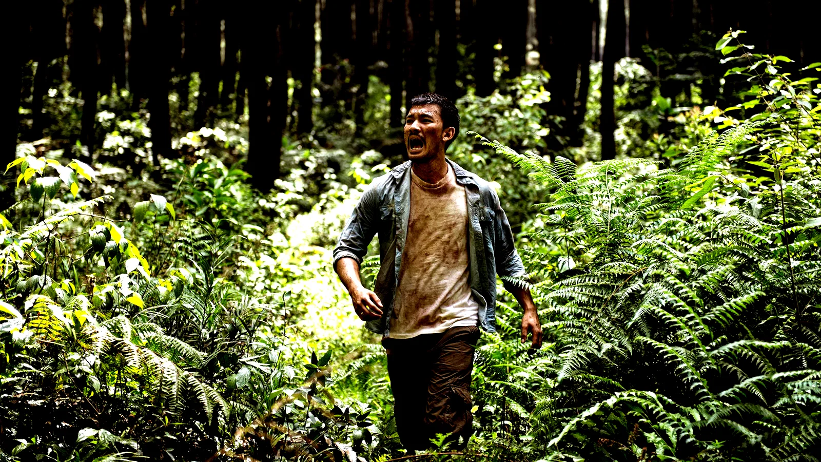 Photo 3 du film : Modus Anomali: Le réveil de la proie
