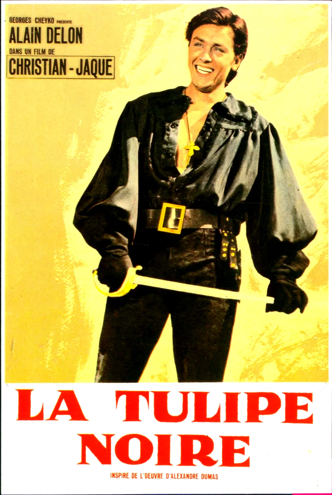 Photo 1 du film : La Tulipe noire