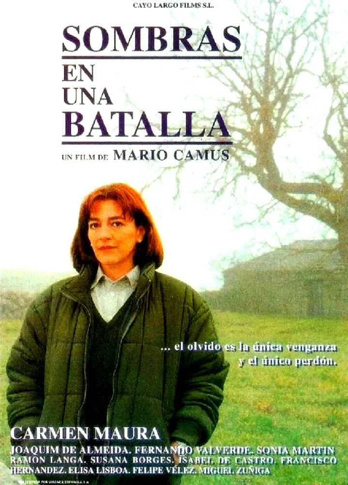 Affiche du film : Sombras en una batalla