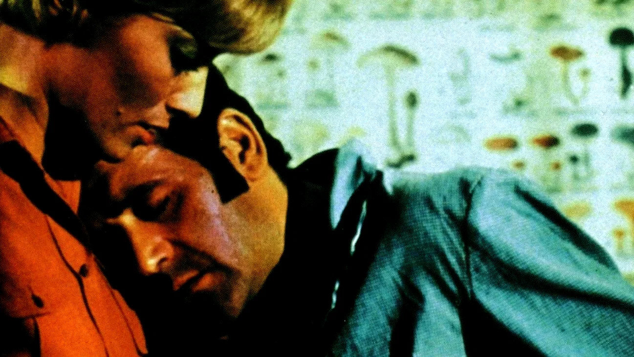 Photo 5 du film : Le boucher
