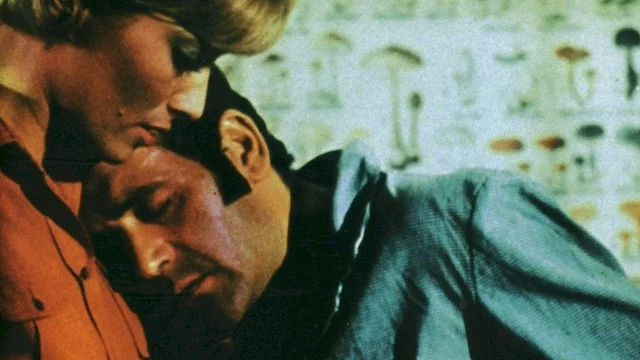 Photo du film : Le boucher