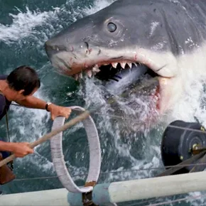 Photo du film : Les Dents de la mer