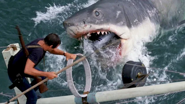 Photo du film : Les Dents de la mer