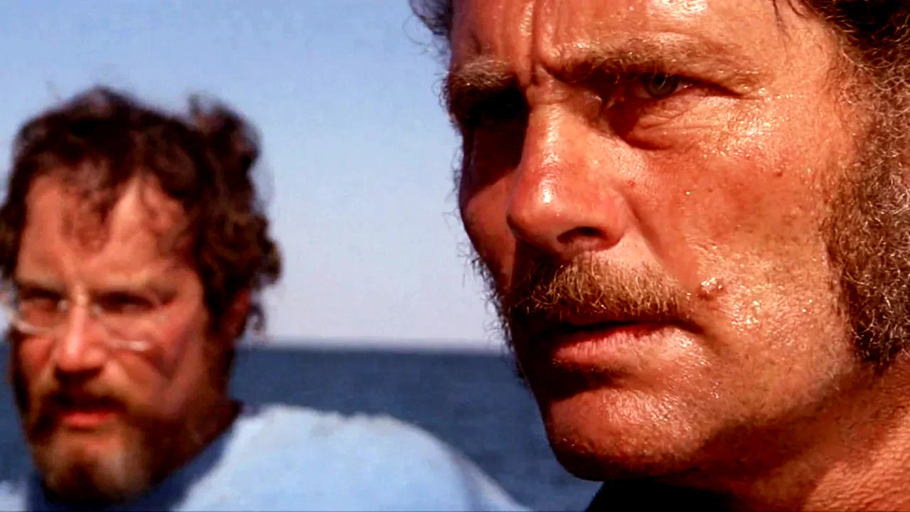 Photo 9 du film : Les Dents de la mer
