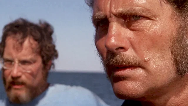 Affiche du film : Les Dents de la mer
