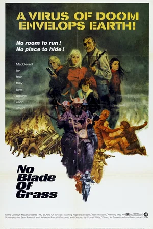 Affiche du film : Terre brulee