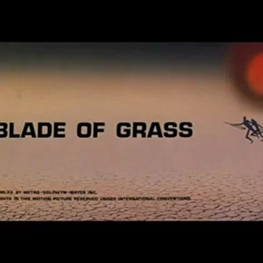 Photo du film : Terre brulee