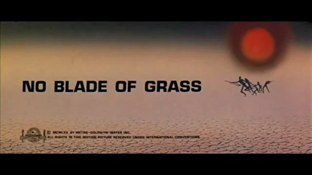 Photo du film : Terre brulee