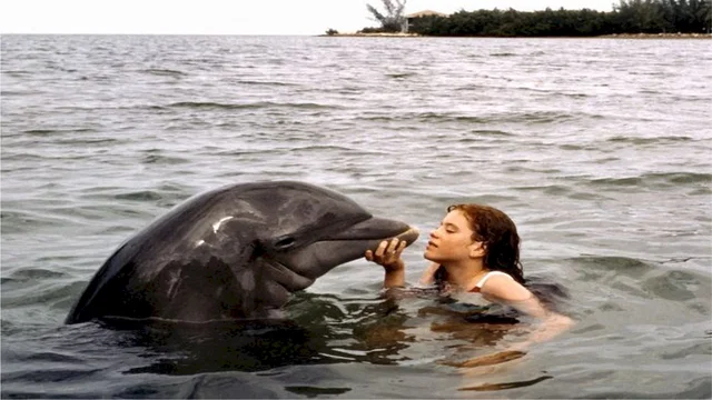 Photo du film : La grenouille et la baleine