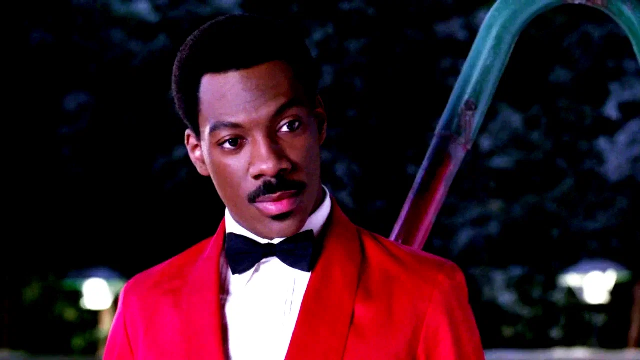 Photo 10 du film : Un prince a new york