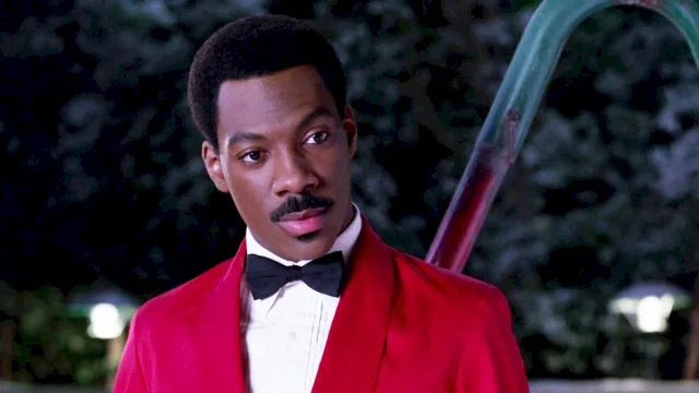 Photo du film : Un prince a new york