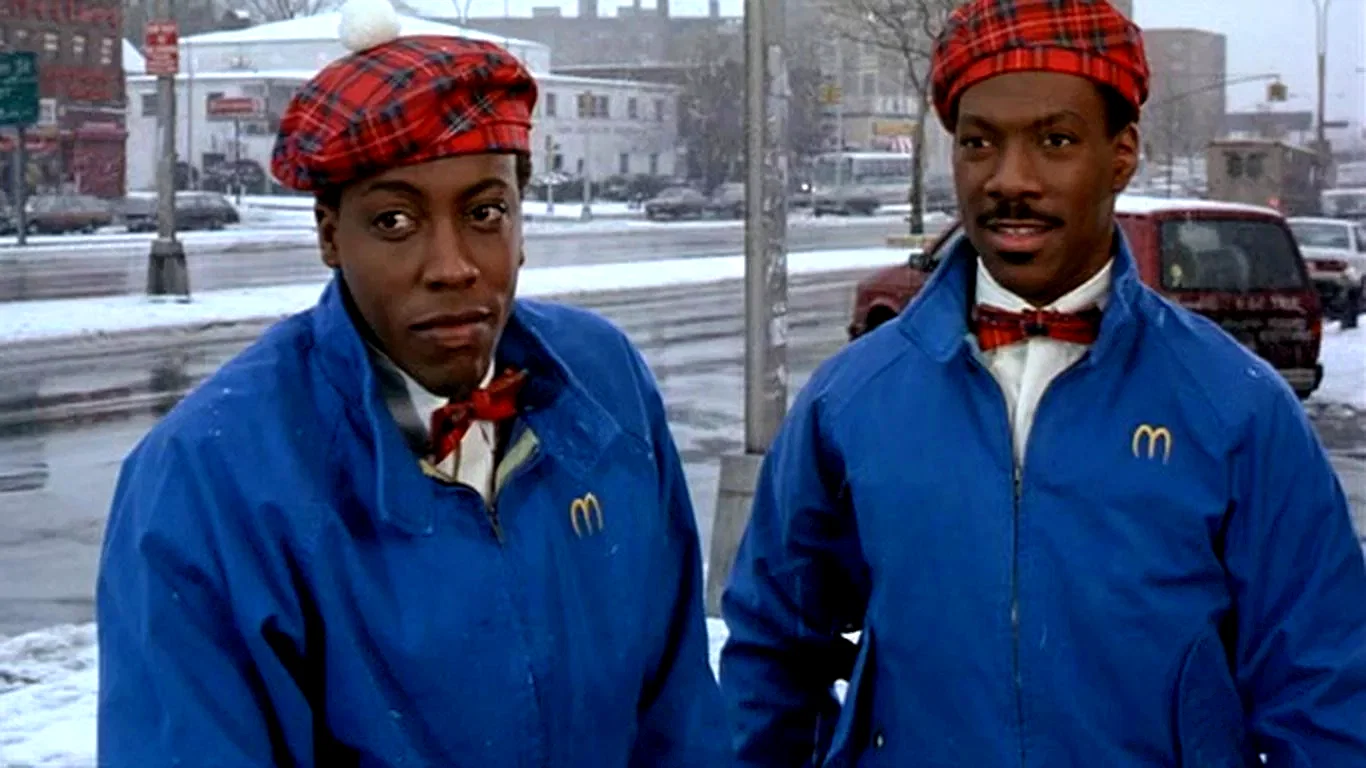 Photo 11 du film : Un prince a new york