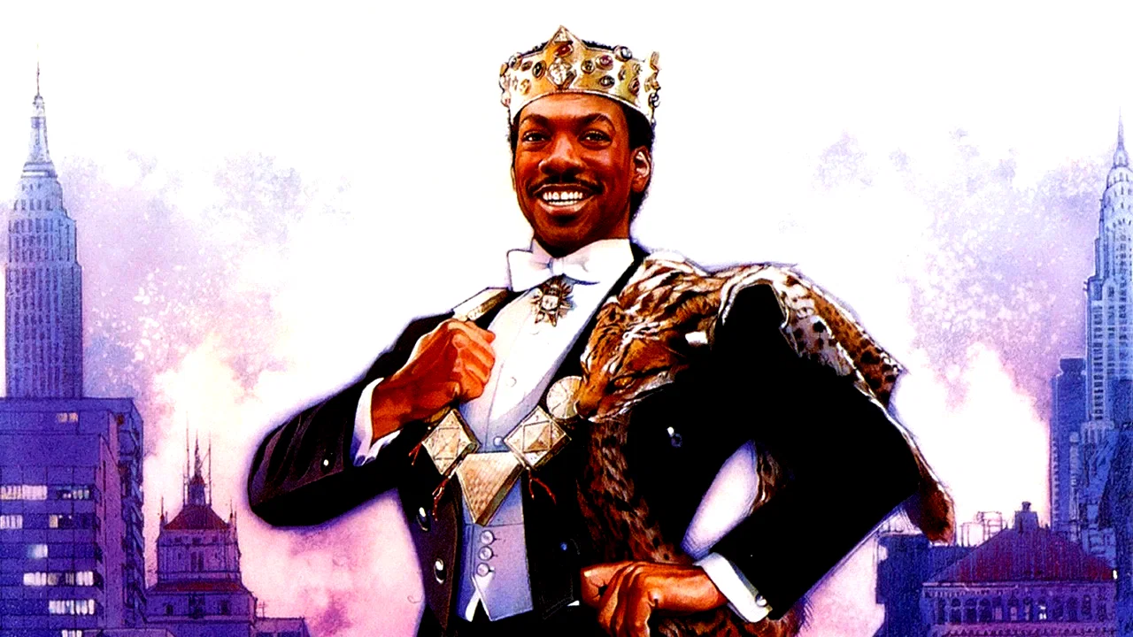 Photo 13 du film : Un prince a new york