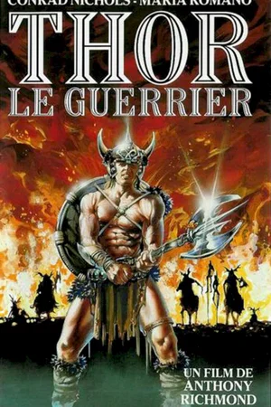 Affiche du film : Le guerrier