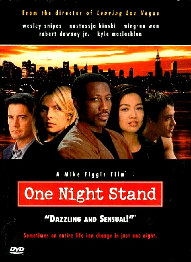 Affiche du film : Pour une nuit