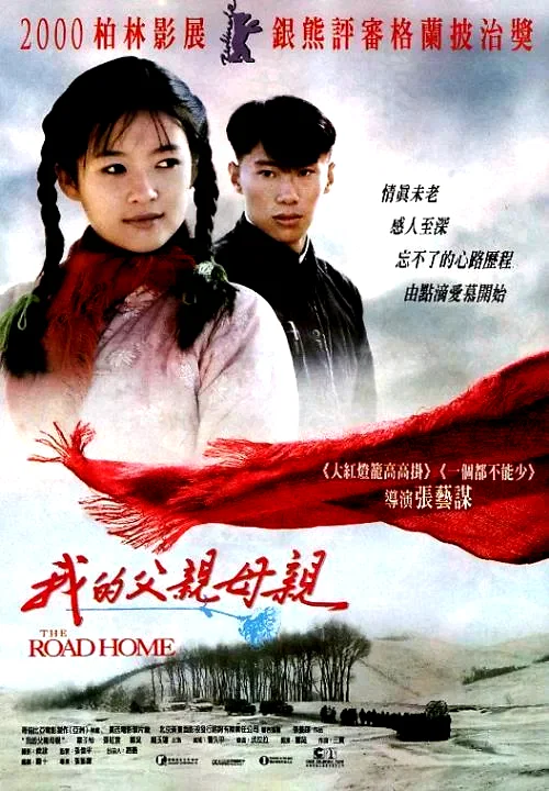 Affiche du film : The road home