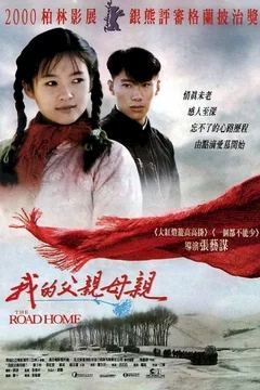 Affiche du film The road home