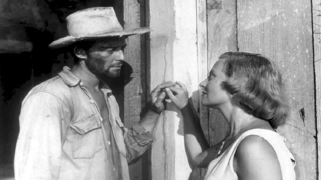 Photo du film : Les orgueilleux