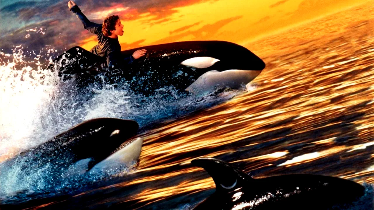 Photo 2 du film : Sauvez willy 2