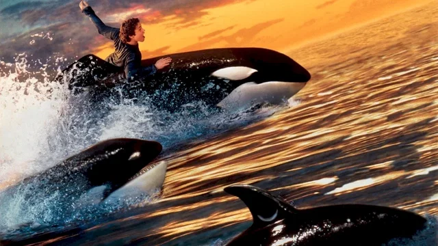 Photo du film : Sauvez willy 2