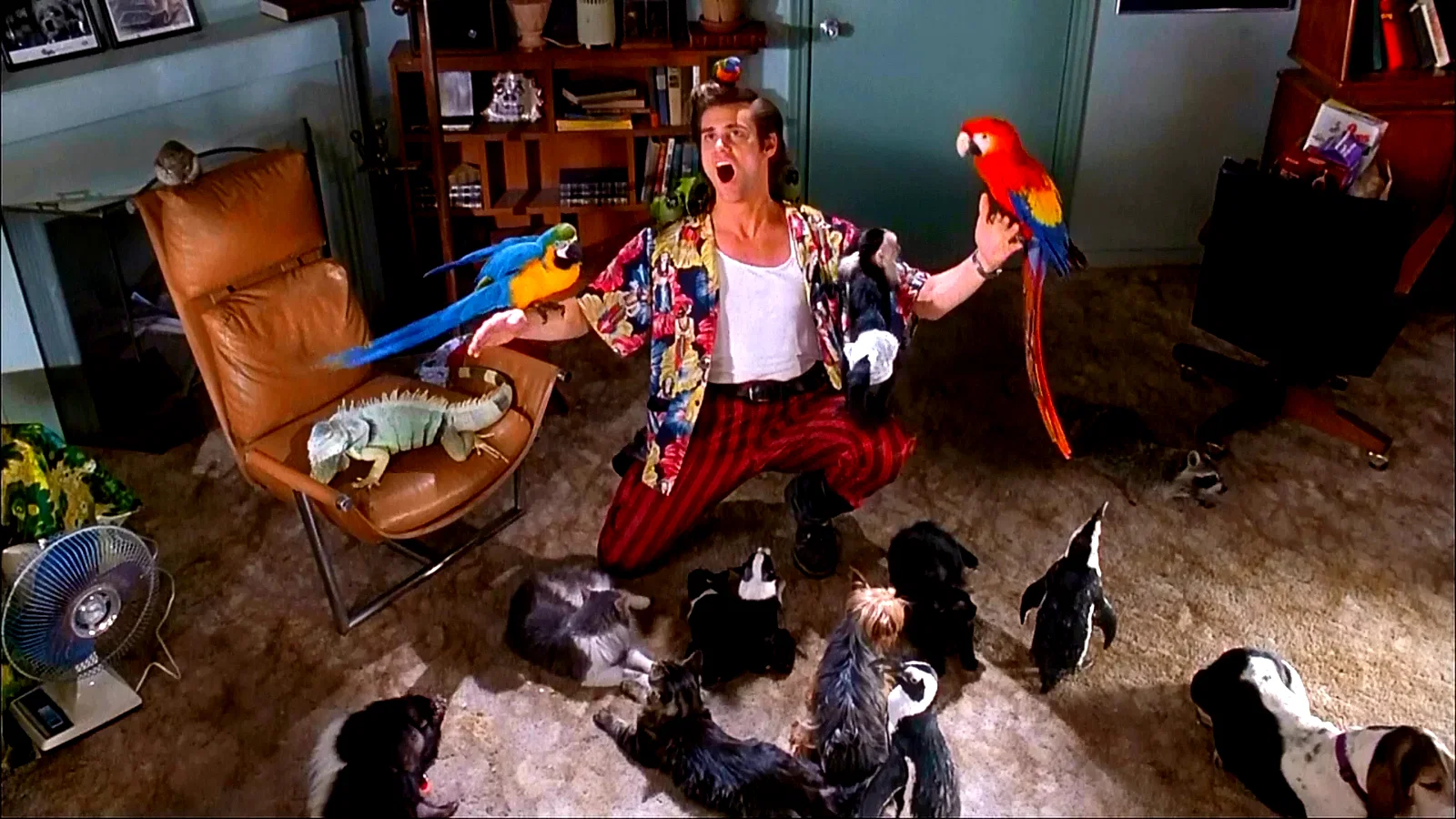 Photo 4 du film : Ace Ventura, détective chiens et chats
