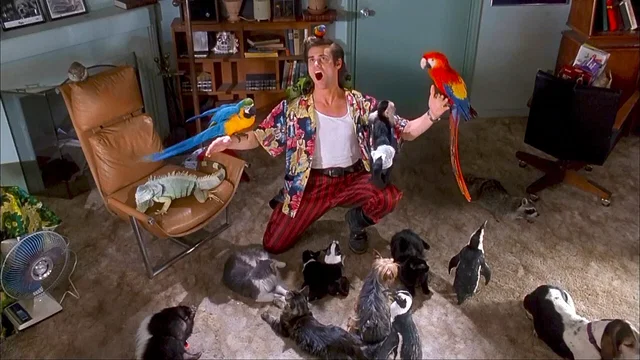 Photo du film : Ace Ventura, détective chiens et chats