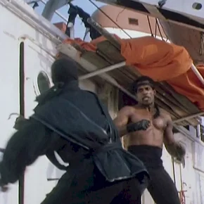 Photo du film : American ninja 3