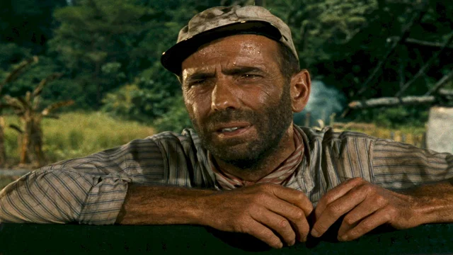 Photo 8 du film : The African Queen