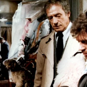 Photo du film : Clair de femme