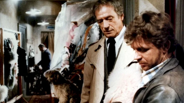 Photo du film : Clair de femme
