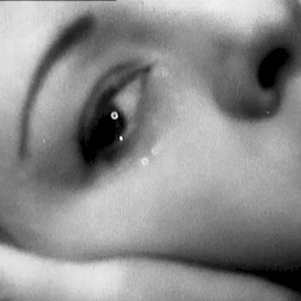 Miniature photo du film : Une partie de campagne