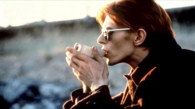 Photo 6 du film : L'homme qui venait d'ailleurs