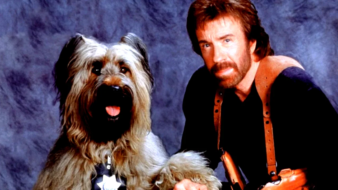 Photo 2 du film : Top dog