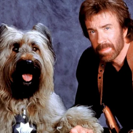 Miniature photo du film : Top dog