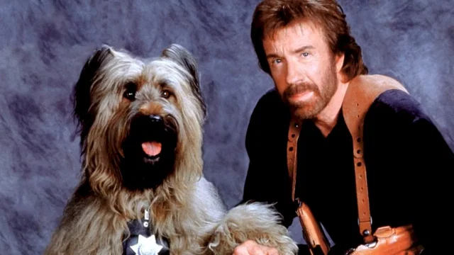 Photo du film : Top dog