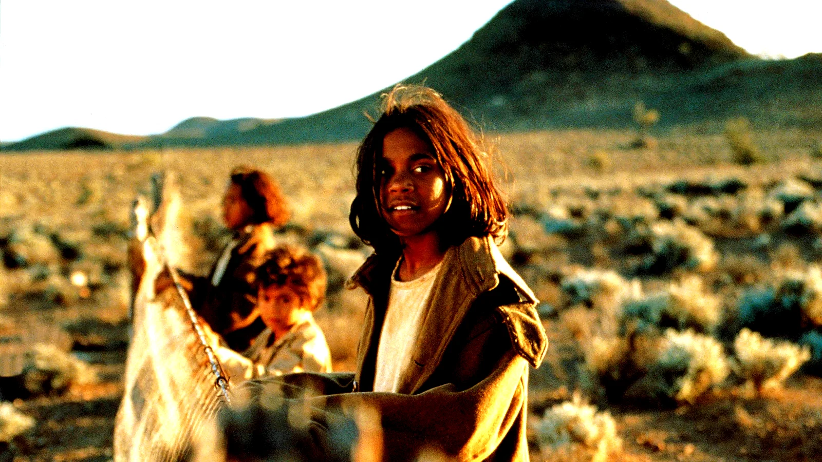 Photo 2 du film : Le chemin de la liberte