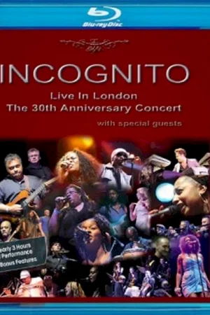Affiche du film : Incognito