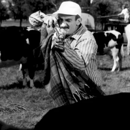 Miniature photo du film : Taxi roulotte et corrida