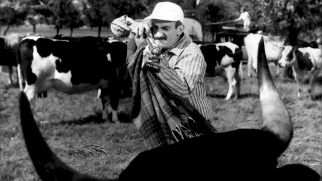 Photo du film : Taxi roulotte et corrida