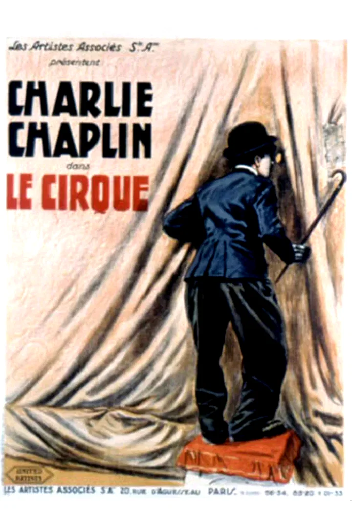 Affiche du film : Le cirque
