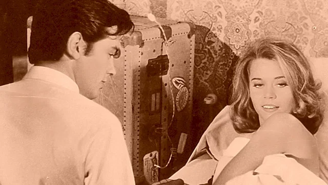 Photo du film : Les félins